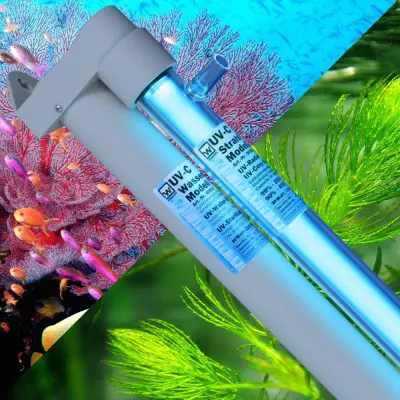 hw®-UV-Watersterilizer